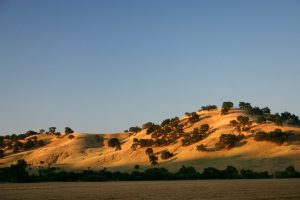 Hills of Vacaville